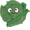 Savoy cabbage