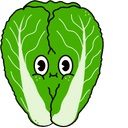 Chinese cabbage
