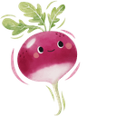 Radish
