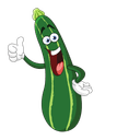 Zucchini