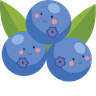 Blueberry