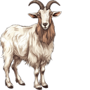 Goat